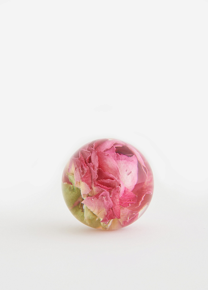 картинка Шар с розой от бренда Оксаны Лаврентьевой OLOLOL