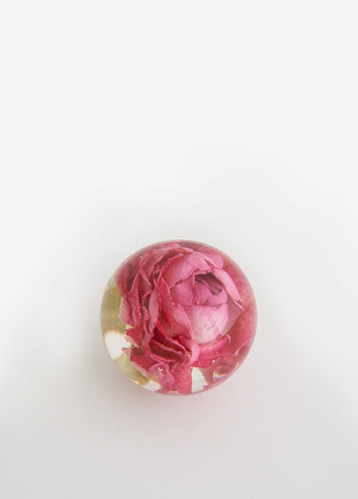 картинка Шар с розой от бренда Оксаны Лаврентьевой OLOLOL